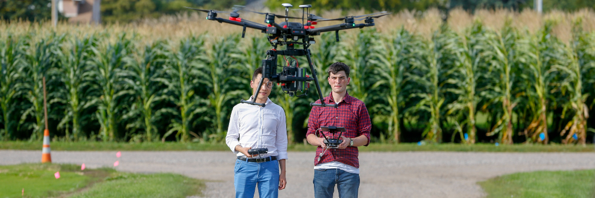 Two people flying a drone near a corn field